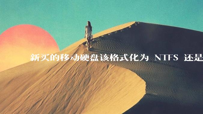 新买的移动硬盘该格式化为 NTFS 还是 exFAT？